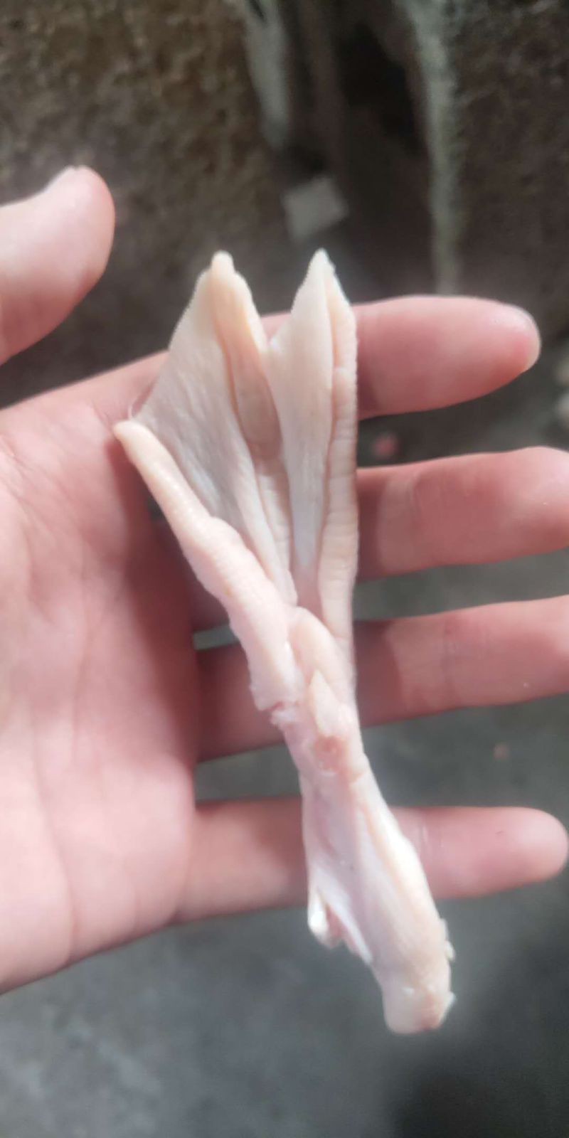 脱骨鸭掌纯干无水脱骨干净，要好货的老板来谈，可给市场定做