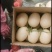 山东莘县红金蜜洋香瓜