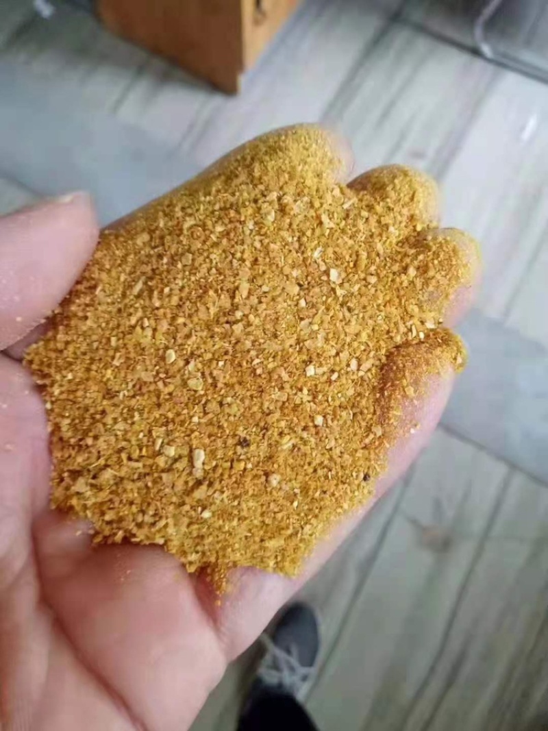 厂家直销优质玉米酒糟DDGS营养价值高酒精味浓郁