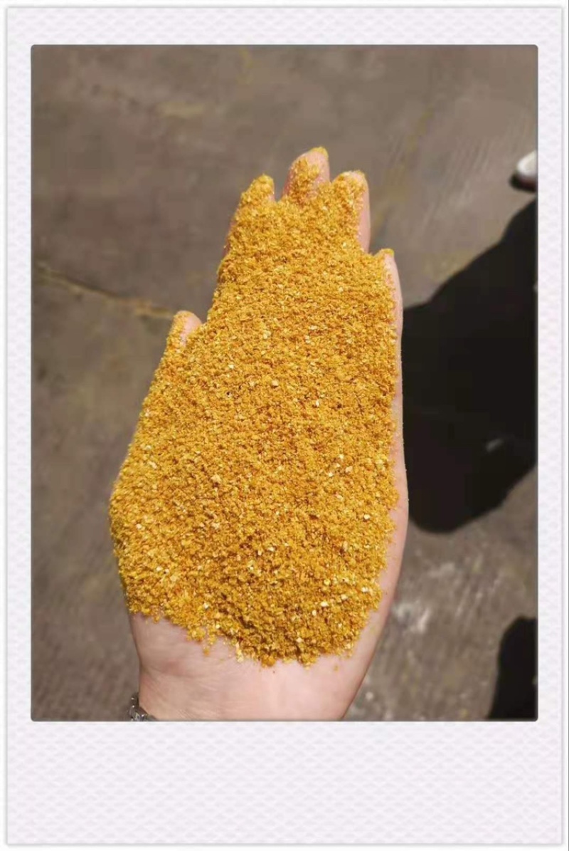 厂家直销优质玉米酒糟DDGS营养价值高酒精味浓郁