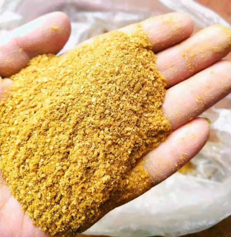 厂家直销优质玉米酒糟DDGS营养价值高酒精味浓郁