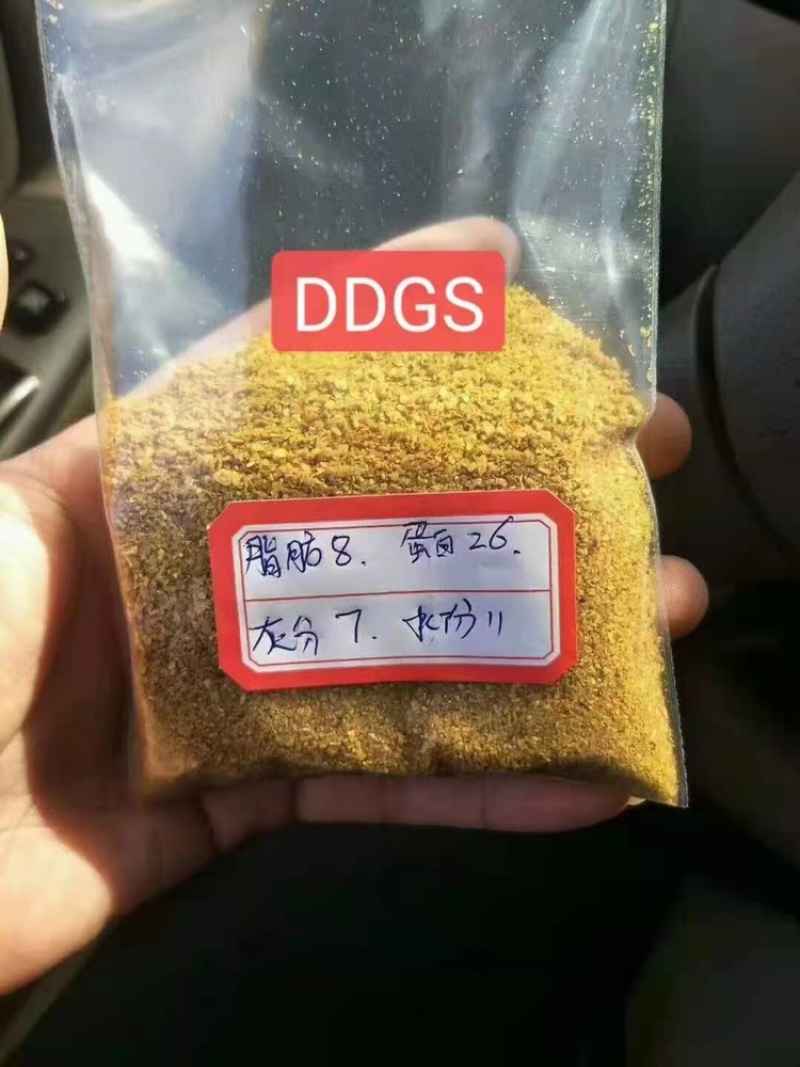 厂家直销优质玉米酒糟DDGS营养价值高酒精味浓郁