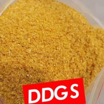 厂家直销优质玉米酒糟DDGS营养价值高酒精味浓郁