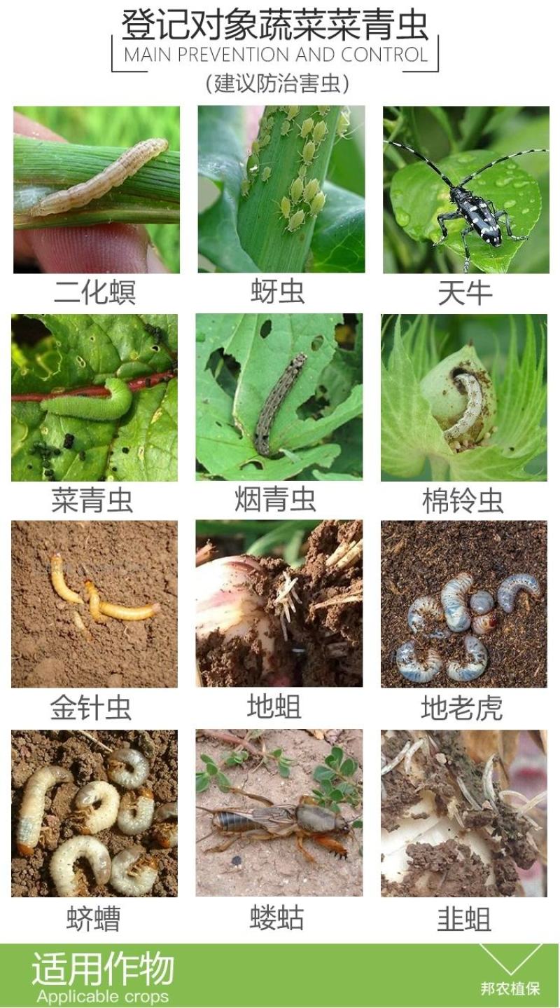 阔达16%甲维茚虫威稻纵卷叶螟吊丝虫青虫高效杀虫剂