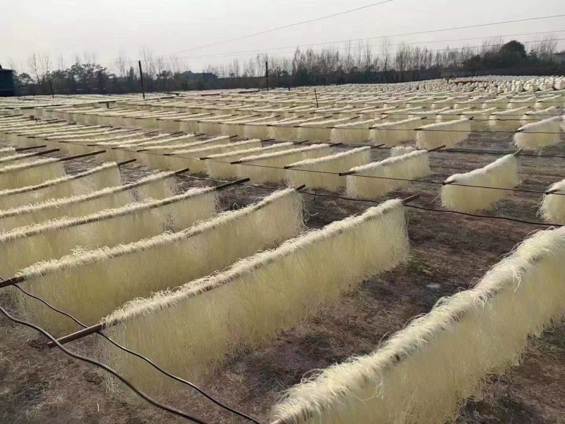 豌豆粉红薯粉铁棍山药粉条厂家直销一手货源