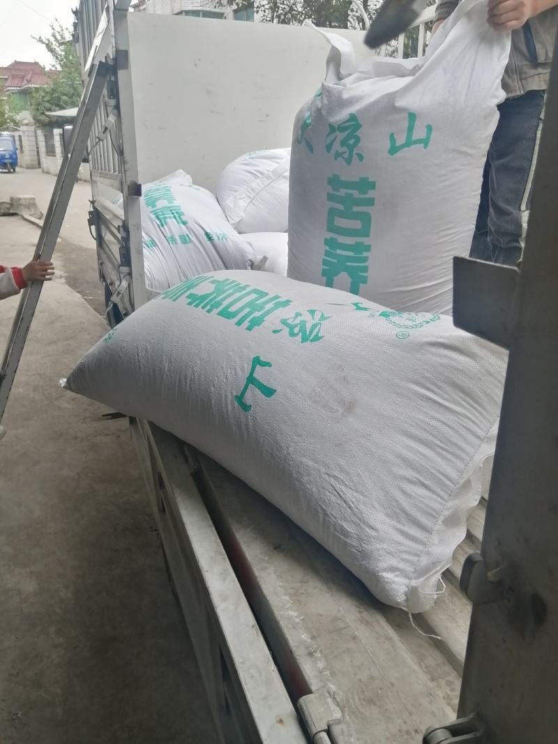 荞麦壳荞麦皮苦荞壳荞麦枕头水洗荞麦枕芯大量现货
