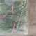 精品韭苔，现采现货，诚信经营，大量上市中！