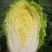 精品黄心大白菜大量供应，现砍现卖，无烧心，无起苔保质保量