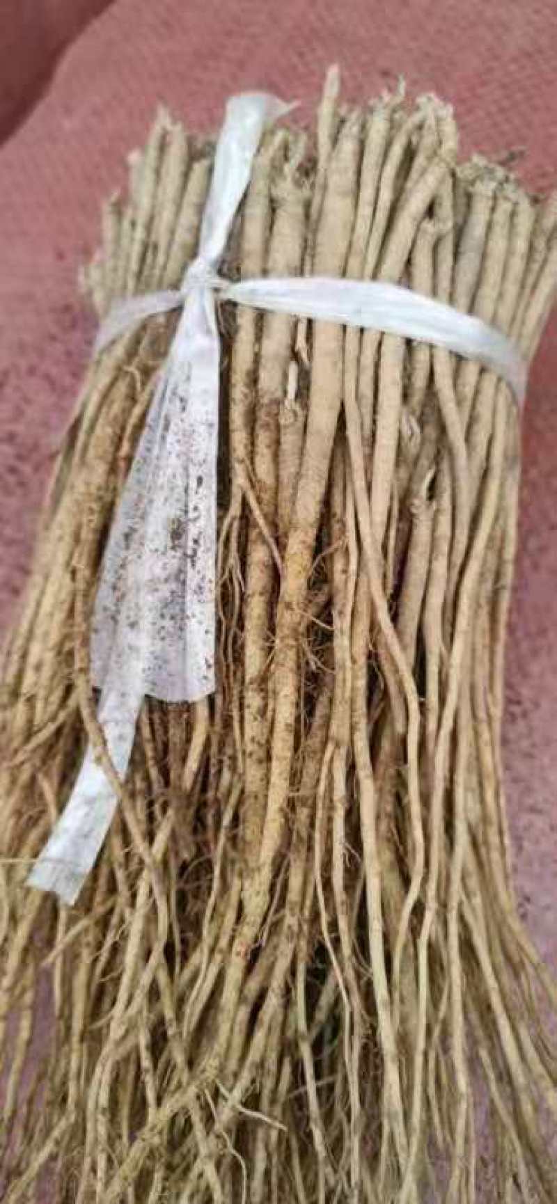 推荐党参种子，纯新种子，分量够足！保证质量，诚信行天下