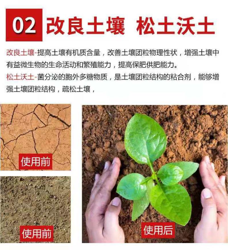 复合微生物肥料有效活菌5亿有机质40氮磷钾12