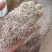 饲料级花生壳粉牛羊鸡鸭鹅饲料添加宠物垫料无土无杂