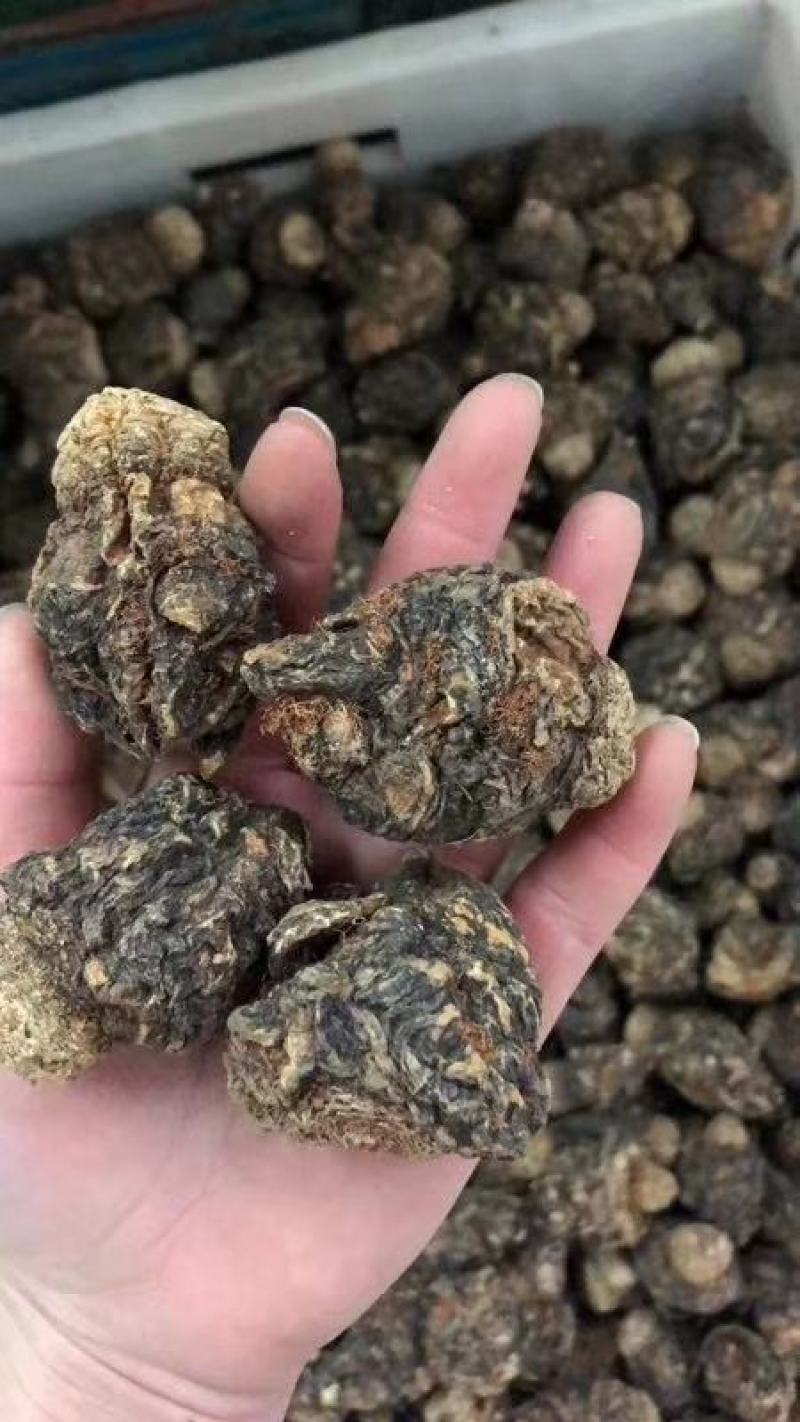 玛卡/产地云南丽江,今年的新货，干复好，需要的联系