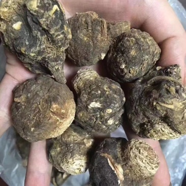 玛卡/产地云南丽江,今年的新货，干复好，需要的联系