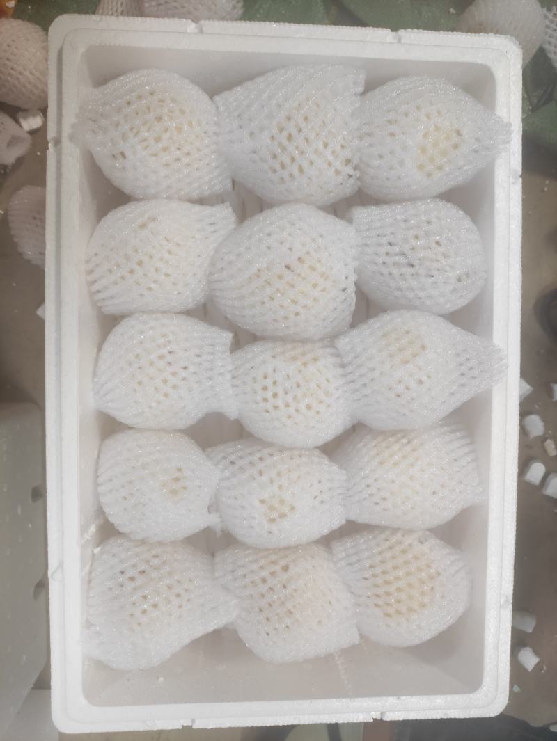 反季节人参果大果精品圆果黄果人生果货源稳定品质可供货市场