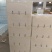 反季节人参果大果精品圆果黄果人生果货源稳定品质可供货市场