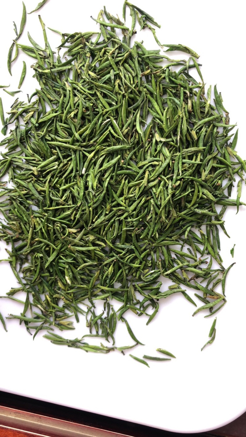 雀舌茶四川雀舌茶2026年雀舌茶包邮