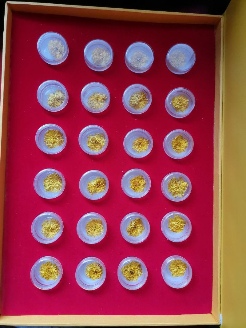 原产地发货怀菊花茶云台冰菊胎菊念露韵游菊实礼盒装