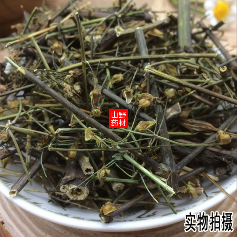 云南野生中药材青叶胆青叶丹走胆药500g包邮