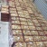 马来正品红片东革阿里批发零售量有现货