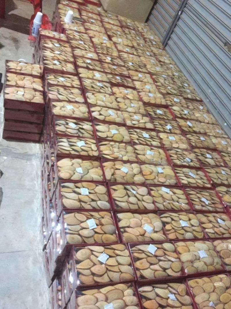 马来正品红片东革阿里批发零售量有现货