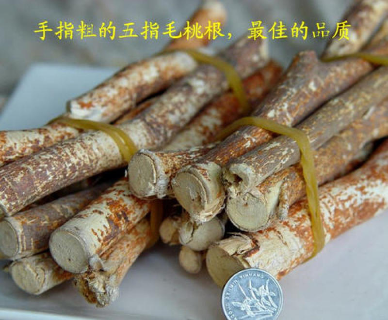 中段五指毛桃广西，日晒足干无硫