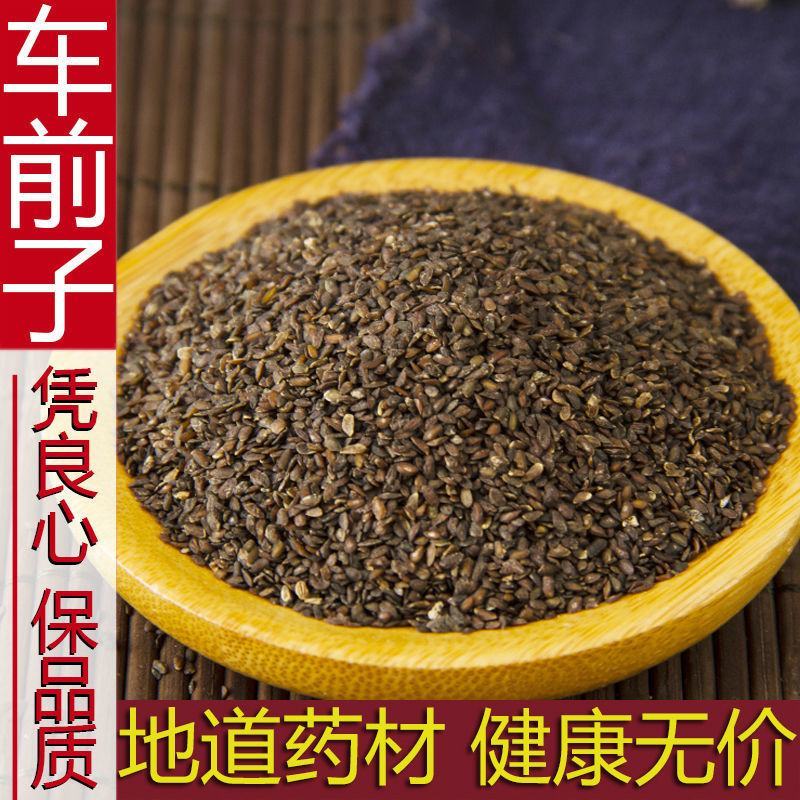 车前子江西人工筛选净货水洗批发零售一公斤起发货