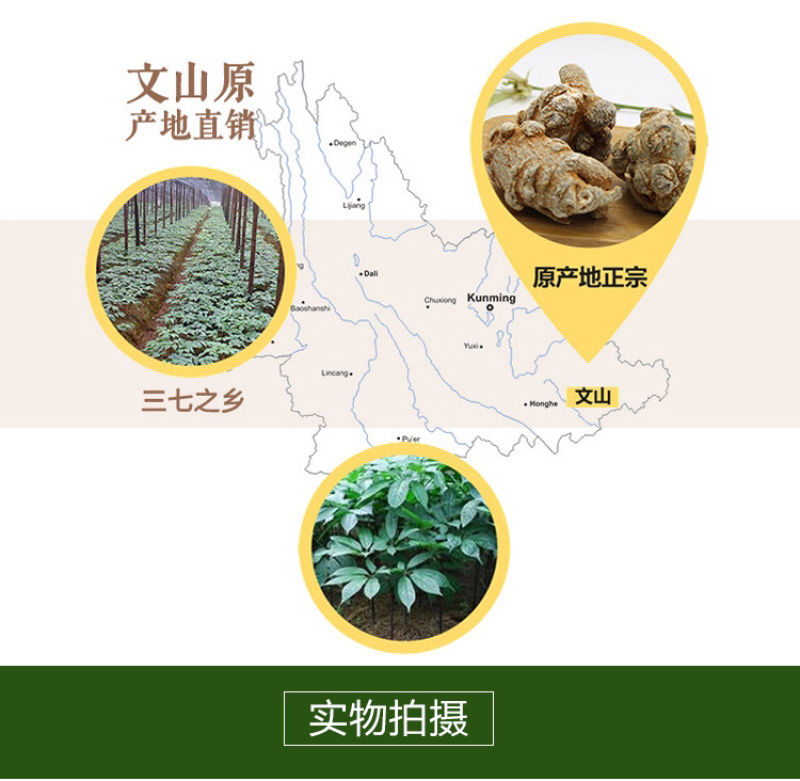 三七云南文山三七40头30头三七头可磨粉人工挑选产地批发