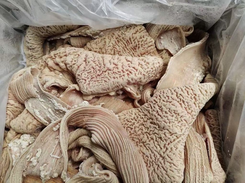 灌肠过程图，展示肉馅填满肠衣的细节