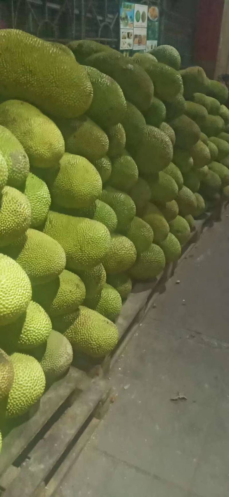 菠萝蜜海南菠萝蜜热带水果海南特产三亚黄肉菠萝蜜一件代发