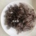 旱田黑小麦面粉一公斤装,每件16袋,支持团购电商一件代发