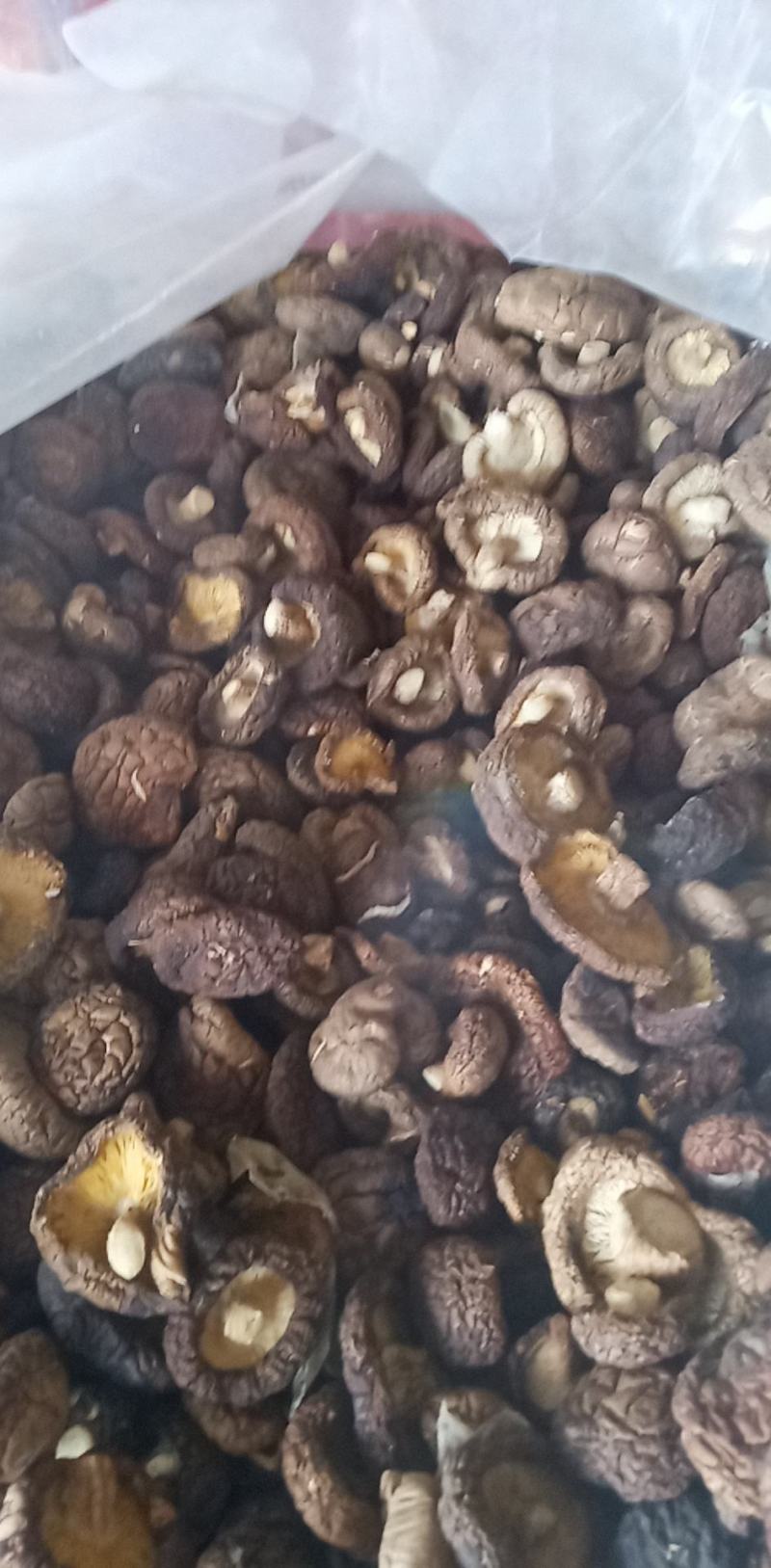 香菇新货上市中，好货你不二的选择