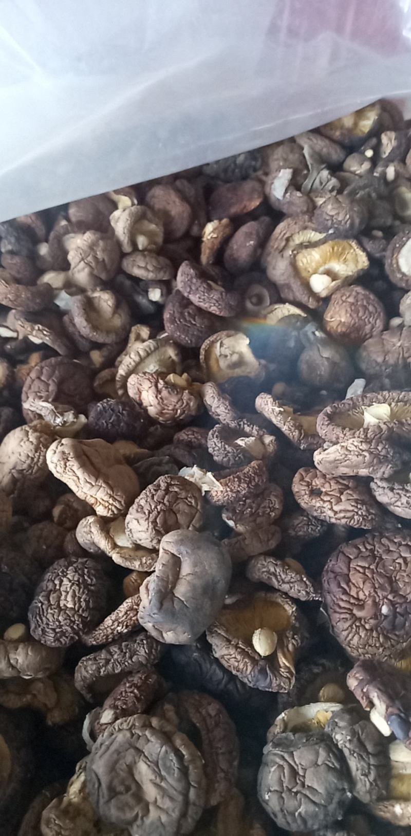 香菇新货上市中，好货你不二的选择