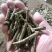 优质花生秧颗粒料，经过高温杀菌，喂养方便快捷，不浪费