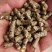 优质花生秧颗粒料，经过高温杀菌，喂养方便快捷，不浪费