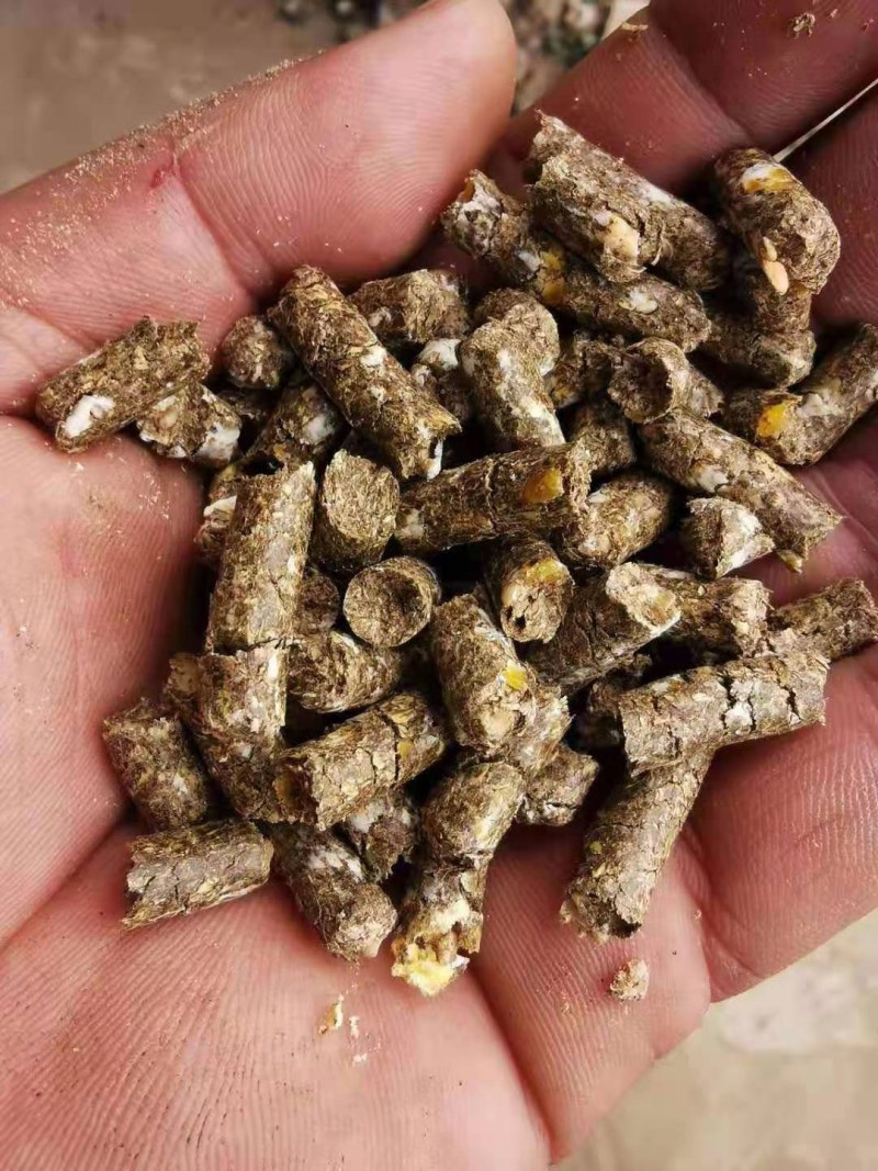 优质花生秧颗粒料，经过高温杀菌，喂养方便快捷，不浪费
