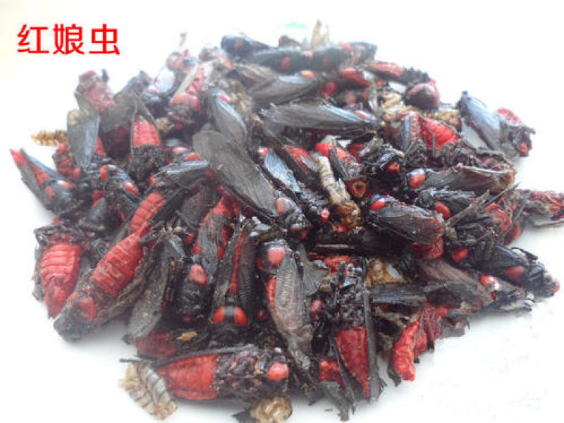 认识此药的联系我，产地云南量大优惠质量上乘