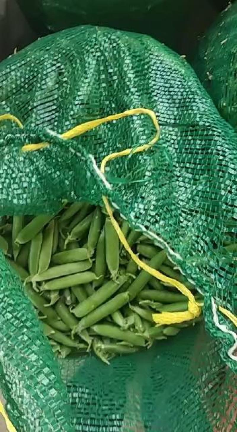 新鲜豌豆现已大量上市