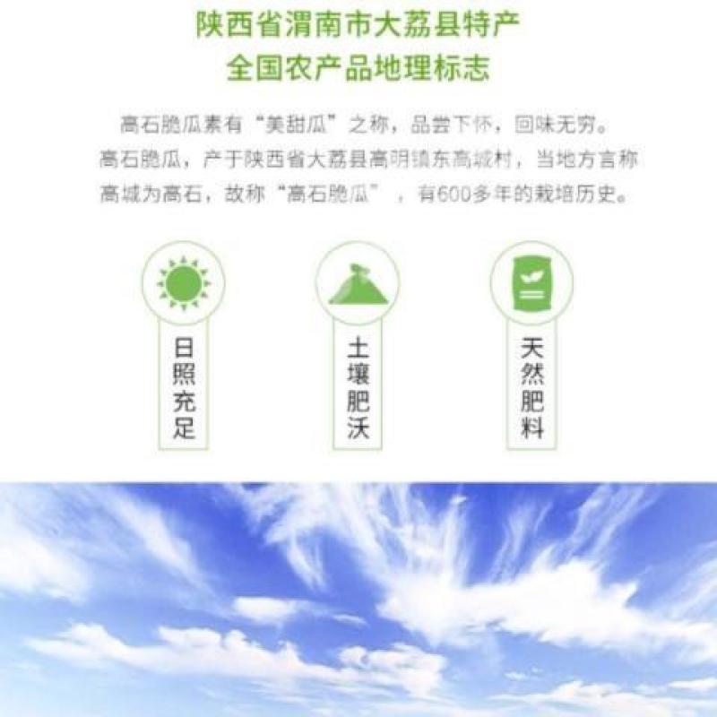 大荔特产高石脆瓜。好吃(可以发快递)