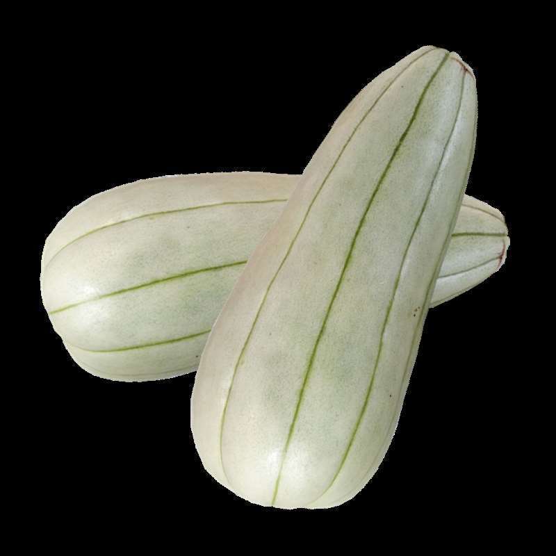 大荔特产高石脆瓜。好吃(可以发快递)