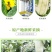 大荔特产高石脆瓜。好吃(可以发快递)