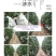 大荔特产高石脆瓜。好吃(可以发快递)
