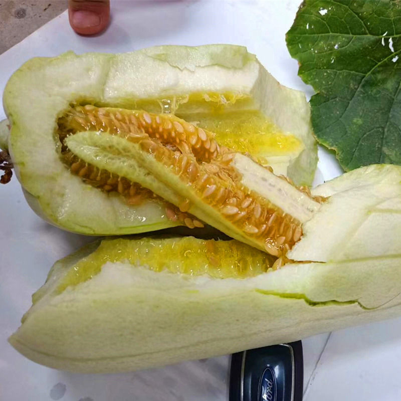 大荔特产高石脆瓜。好吃(可以发快递)