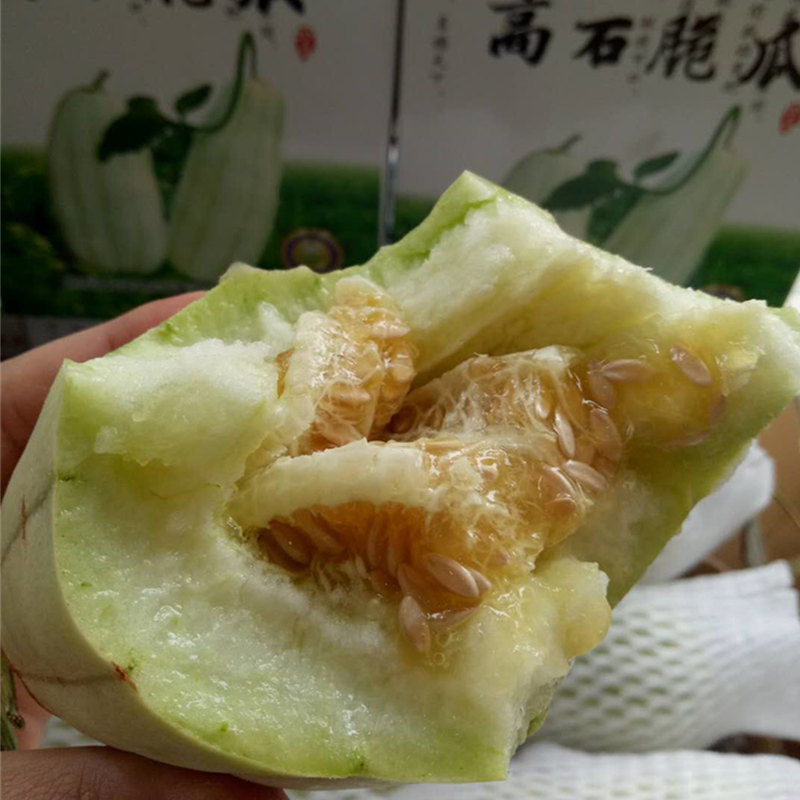 大荔特产高石脆瓜。好吃(可以发快递)