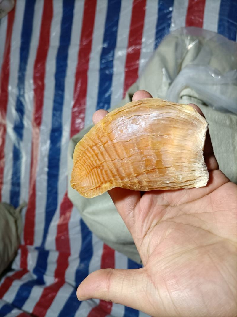 优质玉南片无硫笋干。要货的老板可以联系！！！！！！！！！