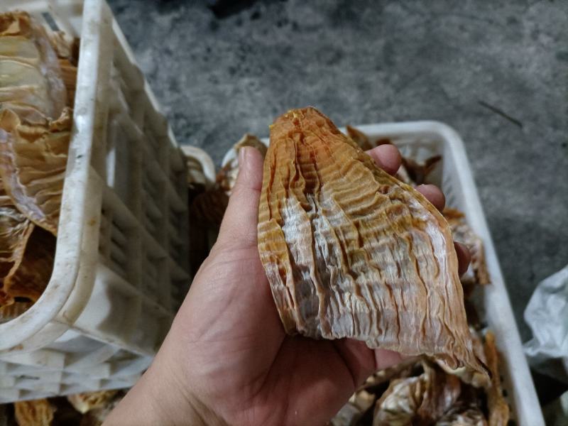 优质玉南片无硫笋干。要货的老板可以联系！！！！！！！！！