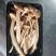 食用菌大全，商超平台看过来