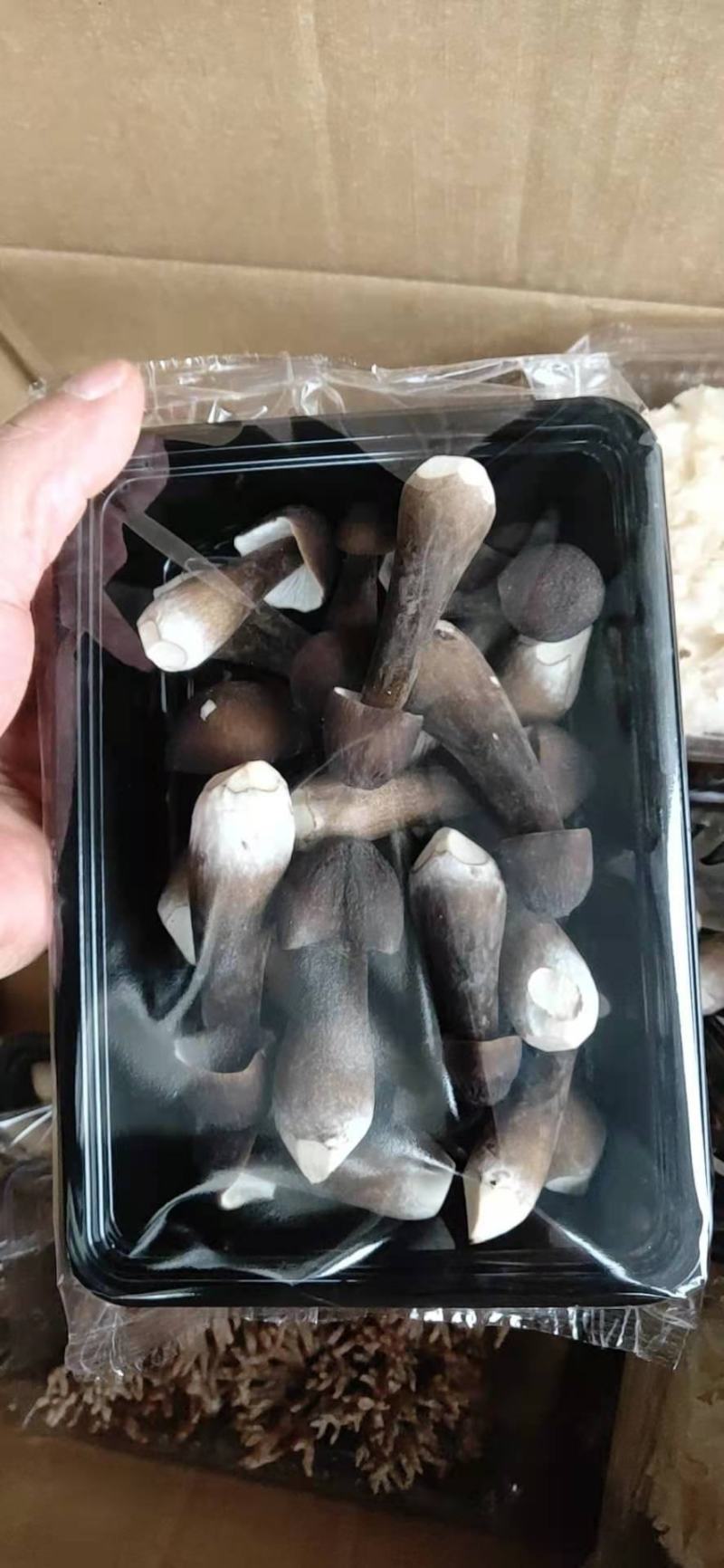 食用菌大全，商超平台看过来