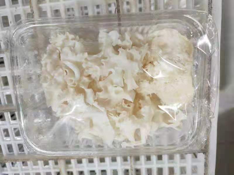 食用菌大全，商超平台看过来
