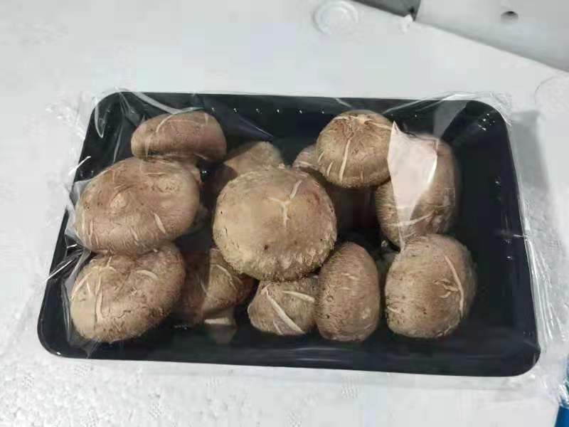 食用菌大全，商超平台看过来