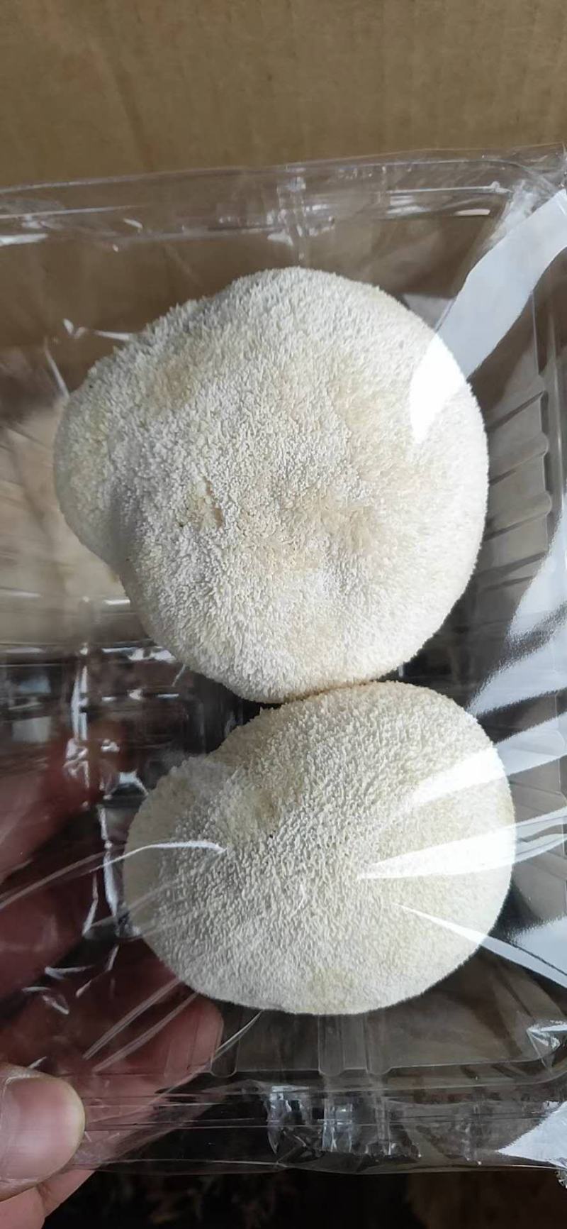食用菌大全，商超平台看过来